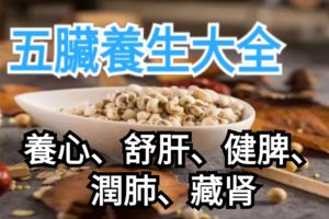 五髒養生大全：養心、舒肝、健脾、潤肺、藏腎