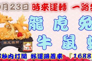 10月23日時來運轉一路發，龍虎兔牛鼠蛇，88秒內打開，好運跟著來『16888』