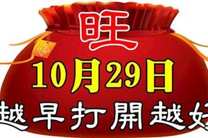 今天是10月29日，9999，九九九九，久久久久，把最長久的祝福送給你，祝你幸福久久，快樂久久！