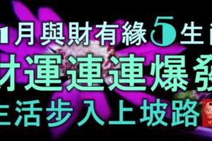 11月與財有緣的5生肖，財運連連爆發，生活步入上坡路！