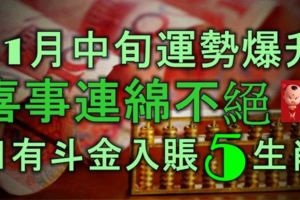 11月中旬運勢爆升，喜事連綿不絕，日有斗金入賬的5大生肖！