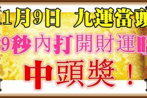 今天11月9日，長久發日，祝你「九運當頭」，中頭獎，請迷信一回吧