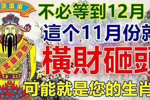 不必等到12月，這個11月份就橫財砸頭的生肖。