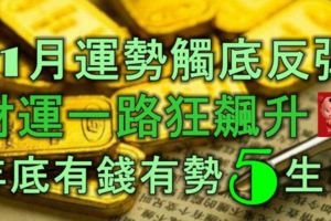 11月運勢觸底反彈，財運一路狂飆升，年底有錢有勢的5生肖！