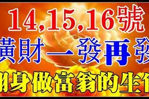 11月14,15,16號3天財神爺盯上，橫財一發再發，註定翻身做富翁的生肖