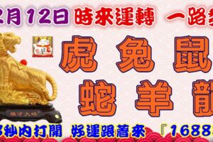 12月12日時來運轉一路發，虎兔鼠蛇羊龍，88秒內打開，好運跟著來『16888』