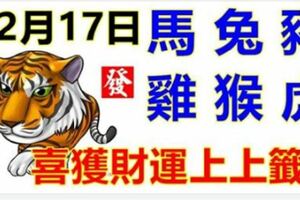 12月17日生肖運勢_馬、兔、豬大吉