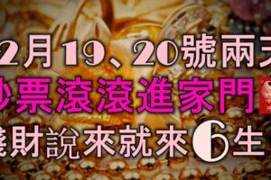 12月19、20號兩天，鈔票滾滾進家門，錢財說來就來的6大生肖！