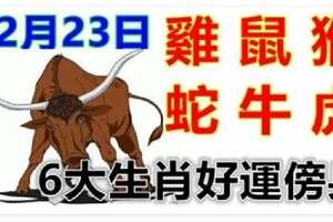 12月23日生肖運勢_雞、鼠、猴大吉