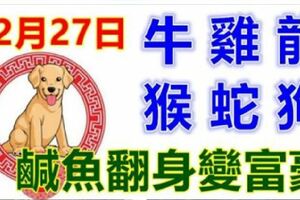 12月27日生肖運勢_牛、雞、龍大吉