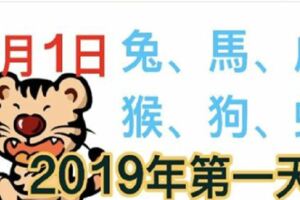 1月1日生肖運勢_兔、馬、虎大吉