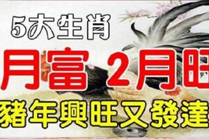 1月財路大開到過年的生肖，豬年興旺又發達