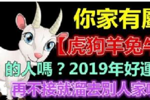 你家有屬【虎狗羊兔牛】的人嗎？2019年馬上有錢，馬上有福，再不接就溜去別人家啦！