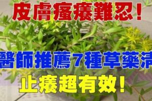 皮膚瘙癢難忍嗎！中醫師推薦這7種草藥清洗，非常有效哦！