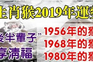 身邊有屬猴的嗎1956年、1968年、1980年的屬猴人2019年運勢，「後半輩子」享清福