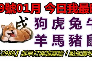 29號01月，今日我最旺！狗虎兔牛羊馬豬鼠！【12988】越早打開越靈驗！點個讚吧！