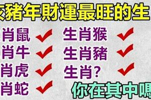 亥豬年財運最旺的生肖