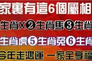 誰家裡有這6個屬相，今年走鴻運，一家人跟著享福