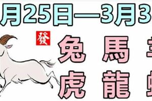 12生肖一周運勢（2月25日—3月3日）