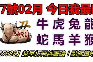 27號02月，今日我最旺！牛虎兔龍蛇馬羊猴！【27988】越早打開越靈驗！點個讚吧！