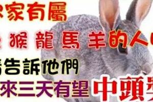 你家有屬【兔猴龍馬羊】的人嗎？未來三天他們最有望中頭獎~