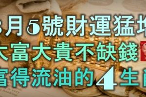 3月5號起財運猛增，大富大貴不缺錢，富得流油的5大生肖！