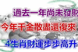 過去一年尚未發財，今年千金散盡還復來，4生肖財運步步高升