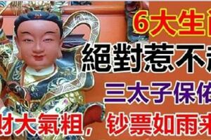 六大生肖，三太子保佑財大氣粗