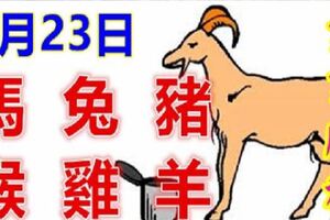 3月23日生肖運勢_馬、兔、豬大吉