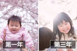 日本爸4年來都在櫻花樹下幫前世情人拍照　慢慢長大的畫面萌哭網友：最珍貴的寶物