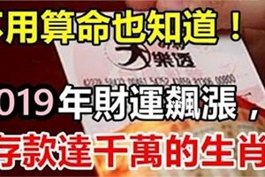 不用算命也知道，這些生肖要爆發了，財運一路飆漲，2019年存款達千萬