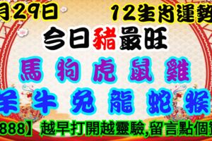 2019年5月29日，星期三，農歷四月廿五（己亥年己巳月丙寅日）