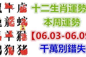 十二生肖運勢：本周運勢【06.03-06.09】千萬別錯失！