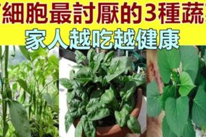 「腫瘤細胞」最怕的3種蔬菜，在陽臺栽上幾盆，綠色健康,又好吃