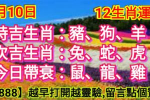 2019年8月10日，星期六，農歷七月初十（己亥年壬申月己卯日）