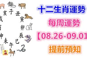 十二生肖運勢：每周運勢【08.26-09.01】提前預知！