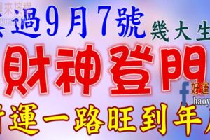 熬過9月7號，這幾大生肖財神登門【財運一路旺到年底】