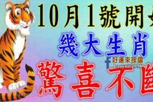 10月1號開始驚喜不斷，發橫財中大獎的生肖