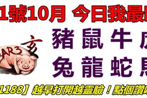 11號10月，今日我最旺！豬鼠牛虎兔龍蛇馬！【11188】越早打開越靈驗！點個讚吧！