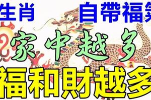 家運興旺！六大生肖自帶福氣！家中越多就越興旺，全家富貴又有錢！