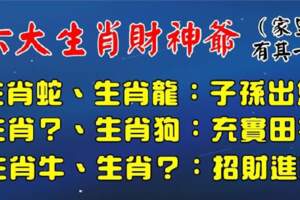 六大生肖財神爺，家裡有其一，農曆閏四月起招財進寶