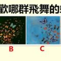 你喜歡哪群飛舞的蝴蝶，測你是真的喜歡身邊的人嗎