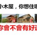 四個小木屋，你想住哪個？測你會不會有好運？