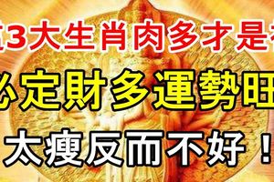 這3大生肖肉多才是福，必定財多運勢旺，太瘦反而不好！