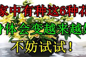 家中有種這6種花，身體會變越來越好，不妨試試！