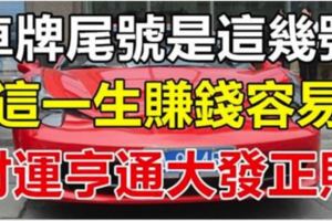 車牌尾號是幾，這一生賺錢容易，財運亨通大發正財！