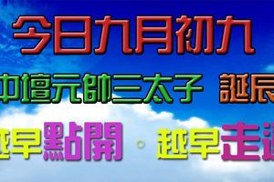 今日九月初九，中壇元帥三太子聖誕