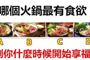 哪個火鍋最有食慾？測你什麼時候開始享福？