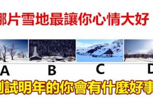 哪片雪地最讓你心情大好？測試明年的你會有什麼好事~