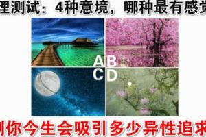 心理測試：4種意境，哪種最有感覺？測你今生會吸引多少異性追求